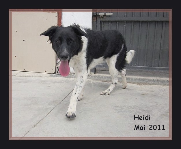 Heidi border a sauver a Ceuta  Heidi210