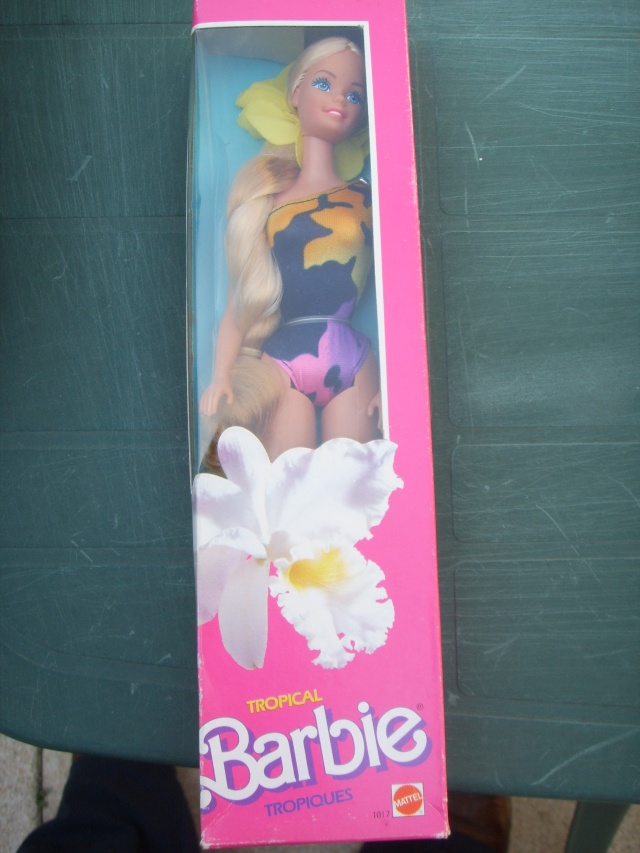 Barbie et les vacances au soleil Ssl17412