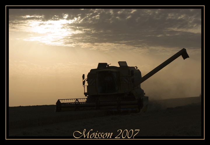 MOISSON 2007, au Domaine du Vallon Img_0926