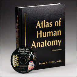 Interactive Atlas of Human Anatomy 3.0 Ci91610