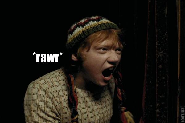 Harry Potter Macro's/Motivators Rawr10