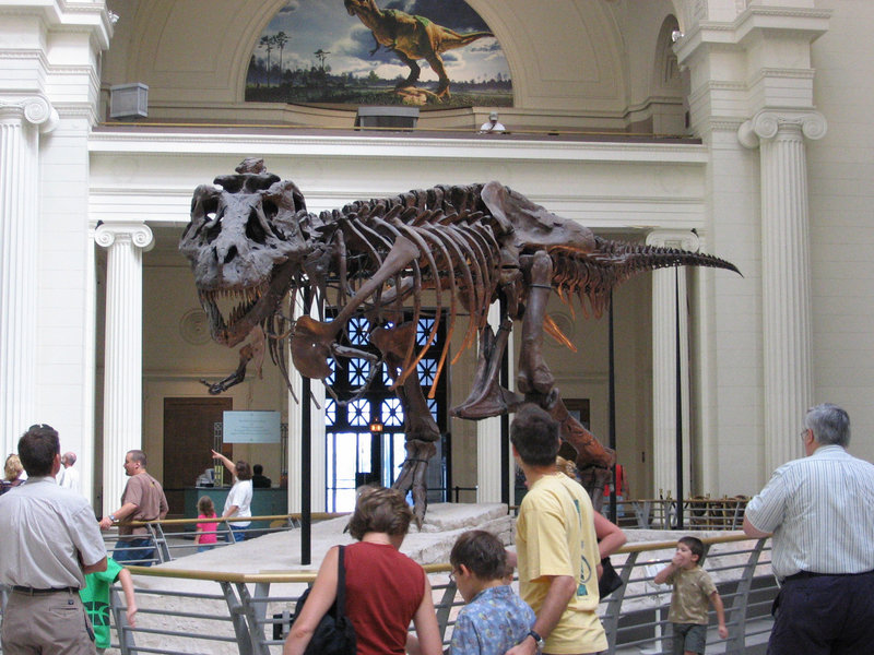 Field Museum of Natural History à Chicago, Illinois - USA 800px-12