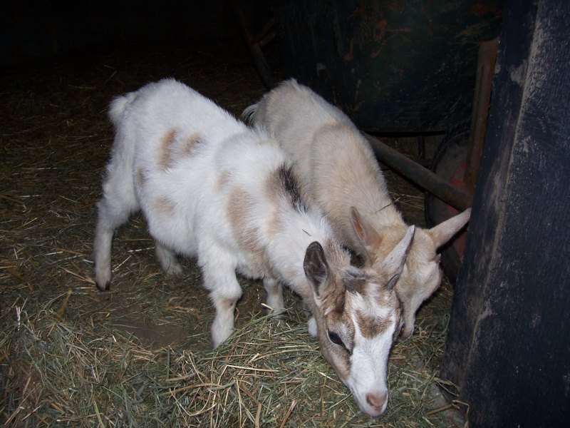 Walter, Lucette et Blandine 100_4610