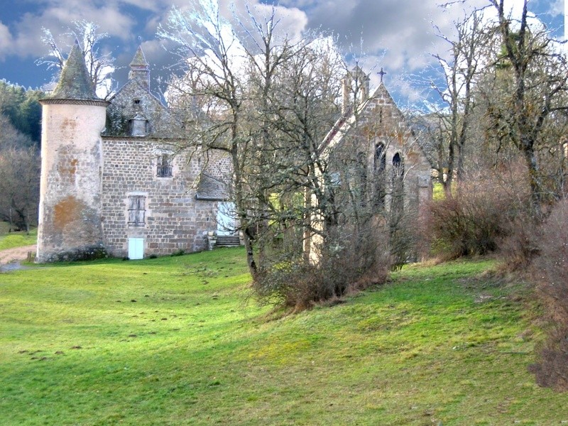 les chateaux de la Lozere - Page 3 Chatea10