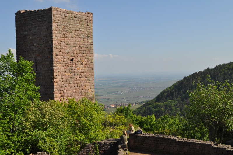 Châteaux de la Moselle (Allemagne) Dsc_0116