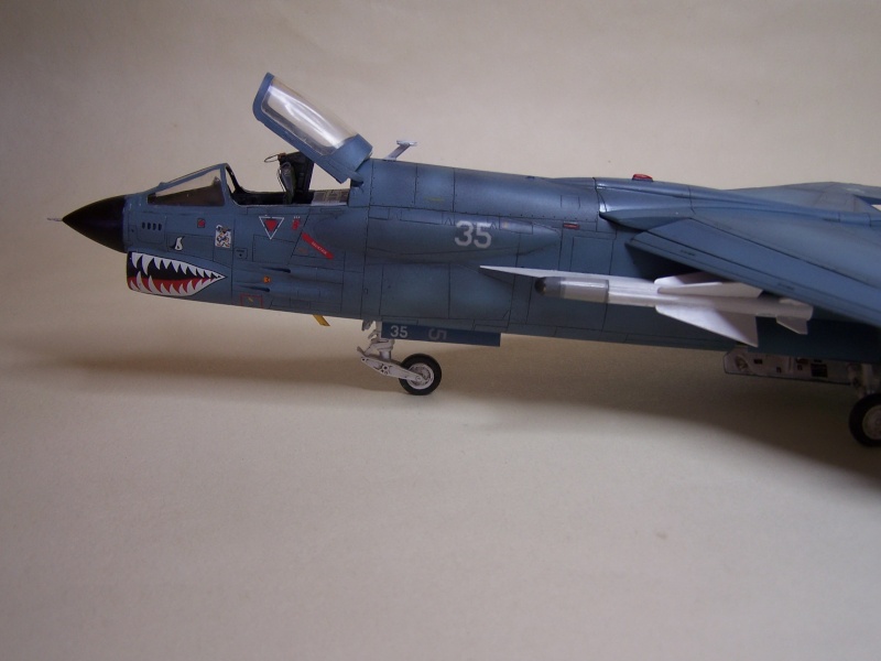 [Hasegawa] 1/48 - Vought F-8E (FN) Crusader  101_0216