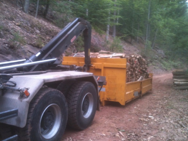 le bois de chauffage et son transport Img_0524