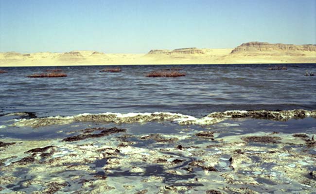 Saline, Lac Qarun, Oasis de Faiyum, Egypte [trouvé par FREEZ - Page 2 Egypte10