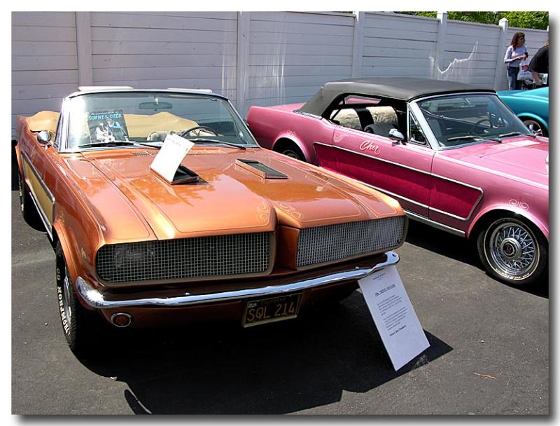 Mustang Sonny and Cher 42240810