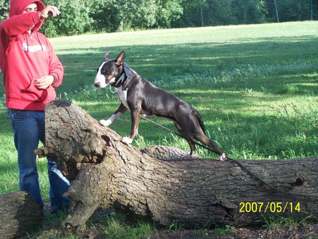 petite photo de la louloutte orka!!! 94003810