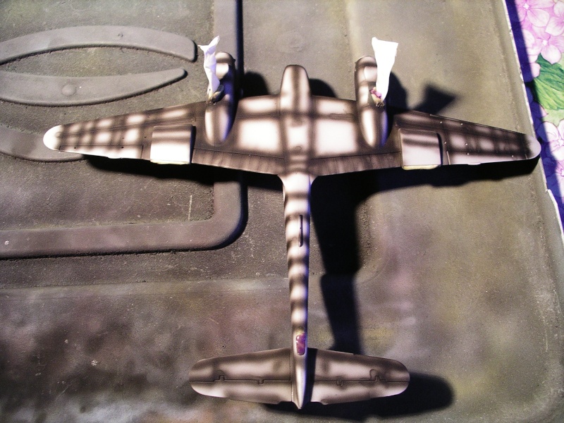 [Revell] 1/72 - Messerschmitt Me 210 A-1 Hornisse  - Page 6 Imgp2412