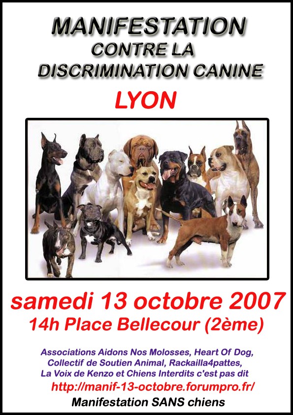 LES AFFICHES ET LES LIEUX POUR LA MANIF DU 13 OCTOBRE Lyon10
