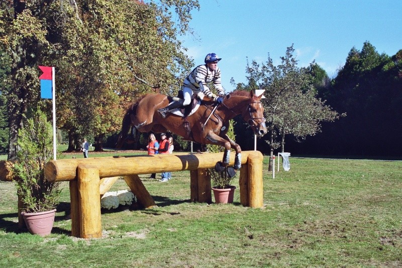 Pau CIC** Imm00310