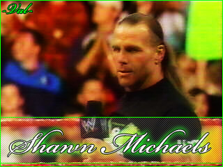 Triple H vs Shawn Michaels vs Undertaker (c) 01410