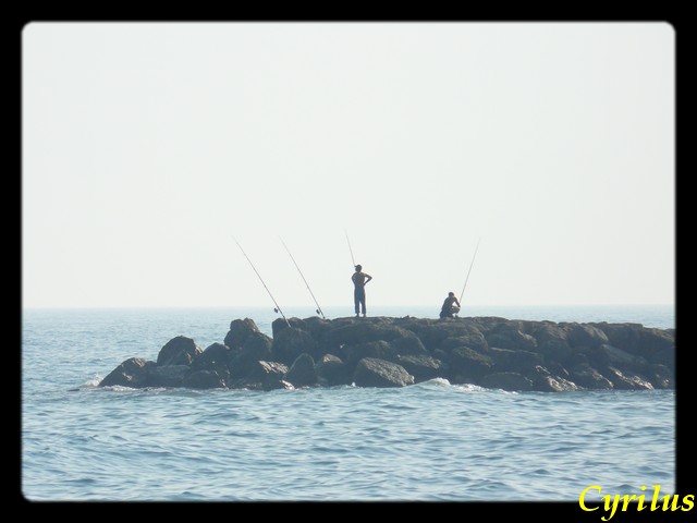 quelques photo prise en bord de mer Digue_10