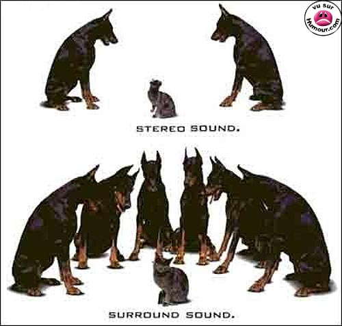 Beaucerons Stereo10