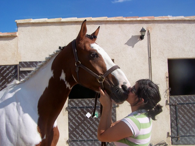 Nos Animaux - Page 3 100_2810