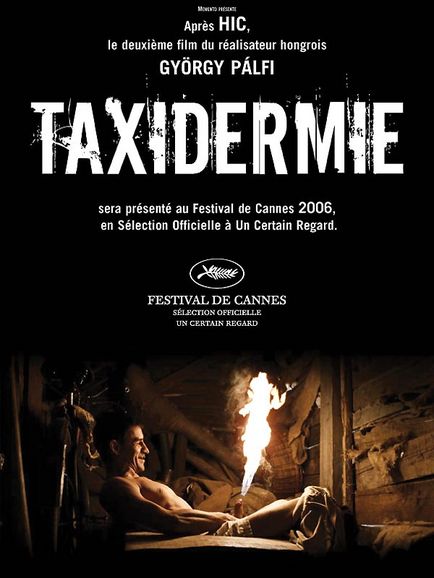 Taxidermie Taxide10