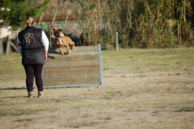 RESULTAT EN DIRECT DU CHAMPIONNAT - Page 3 Dsc_1119