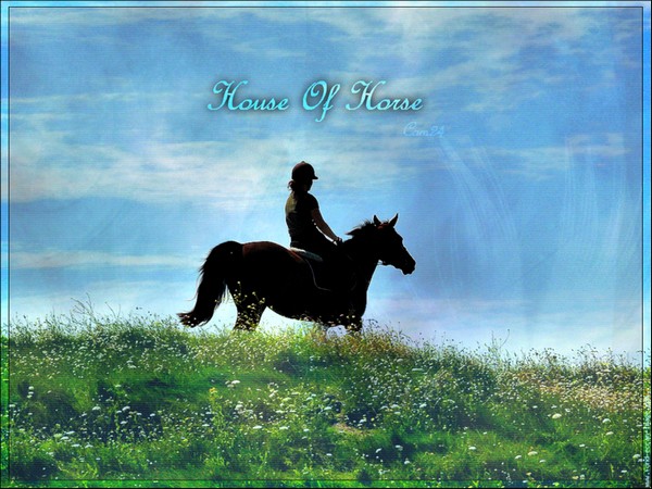 house-of-horse