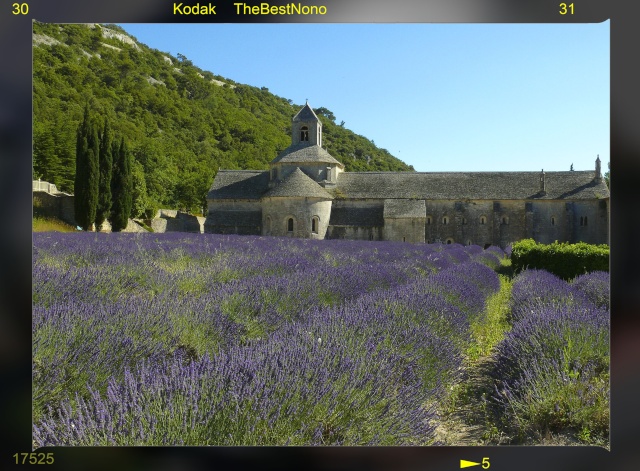 Promenade à l'abbaye de Sénaque Lavand13