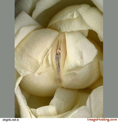 [PIC] Bunga yang rupawan... Image015