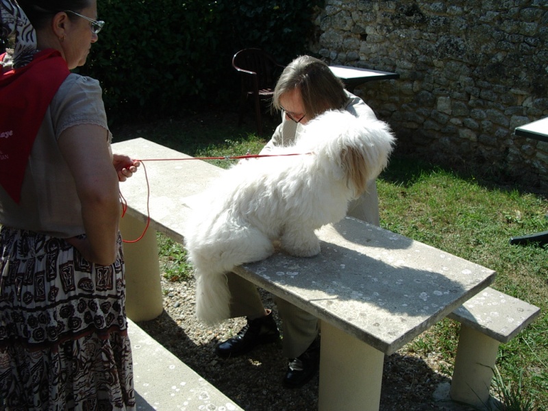 quelques photos de la journée a blaye Imgp2015