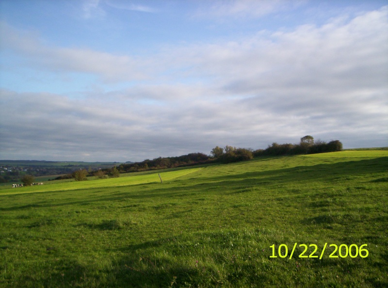 Terrains de chasse. - Page 2 000_0913