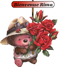 Parfum de roses Bienve10