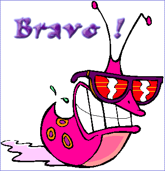 Motus Bravo210