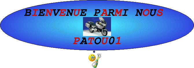 ptit nouveau Patou10