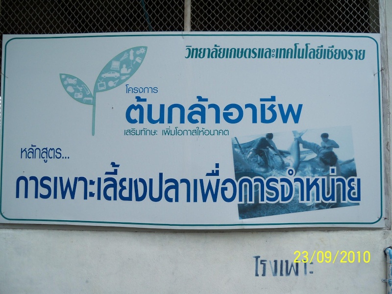 élevage de poissons en Thailande 2010 Photo129