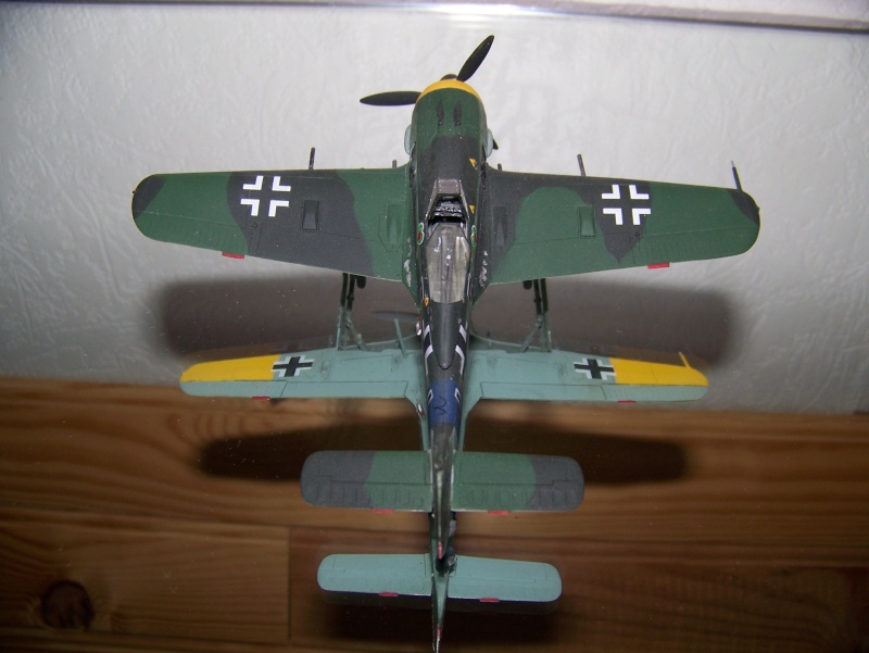[Academy] Focke-Wulf FW190 A8 1/72 Photo_21
