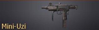 Waffen Cod4-m29
