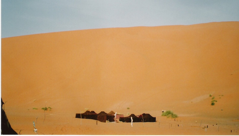les dunes de Merzouga Numeri16