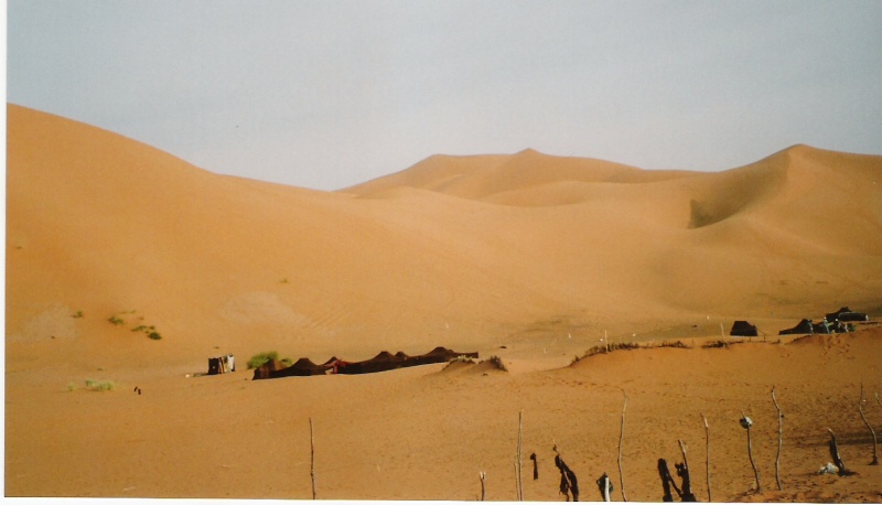 les dunes de Merzouga Numeri17