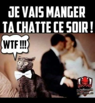 humour & fantaisie - Page 28 11842410