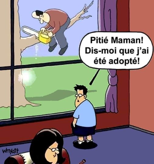 humour & fantaisie - Page 14 64501410