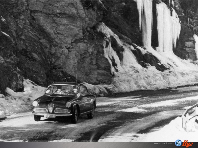 Le trèfle noir et blanc Alfa-r11