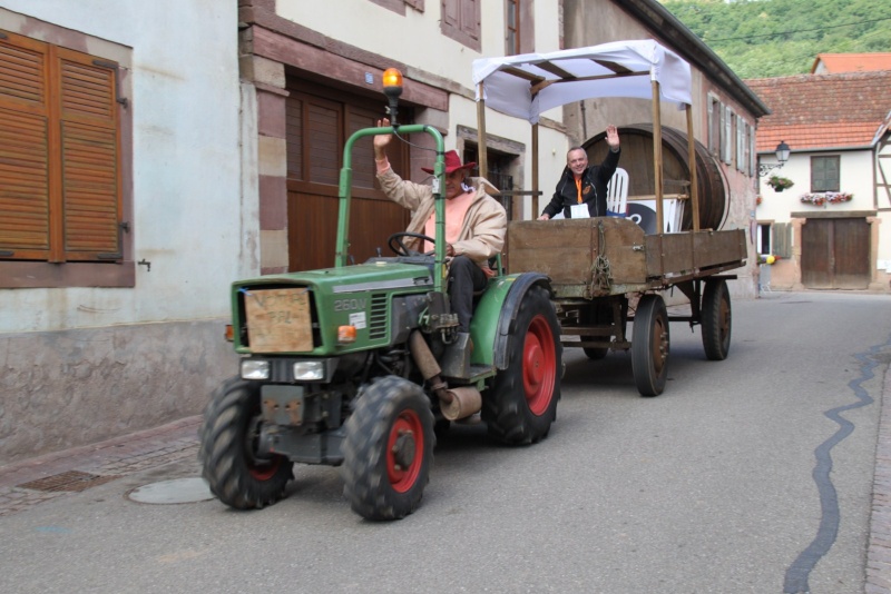 Le Marathon du Vignoble d'Alsace du 18 et 19 juin 2011:et c'est parti pour la 7ème édition qui passera bien entendu par Wangen! 60510