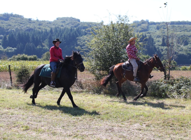 entrainement "trec" : le 19 septembre - Page 17 Img_1610