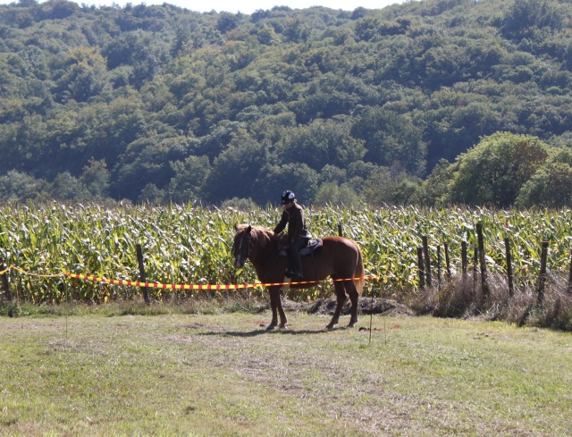 entrainement "trec" : le 19 septembre - Page 17 Img_1621