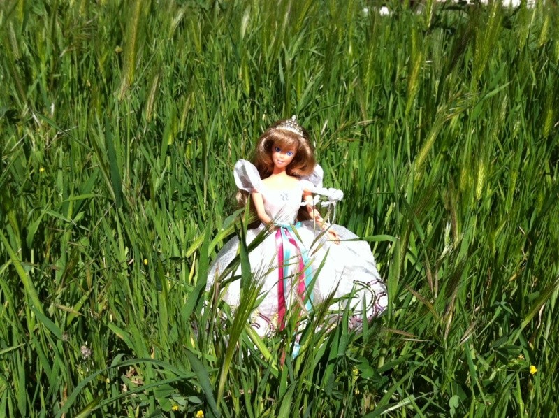 Ma collection sur les poupées Princesse Sissi de LANSAY Photo673