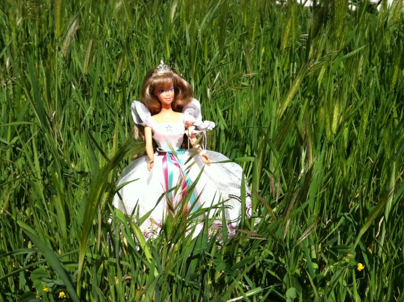 Ma collection sur les poupées Princesse Sissi de LANSAY Photo676