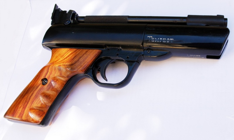 tempest - Webley Tempest avec sa crosse bois Webley20