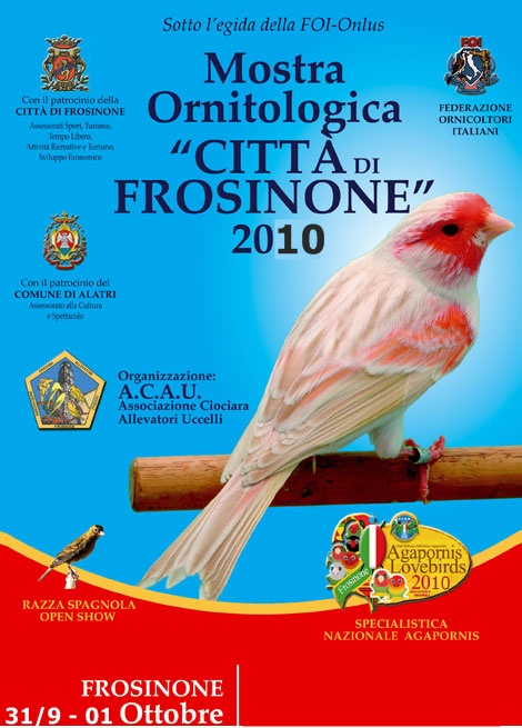 specialistica Frosinone 3_fros10