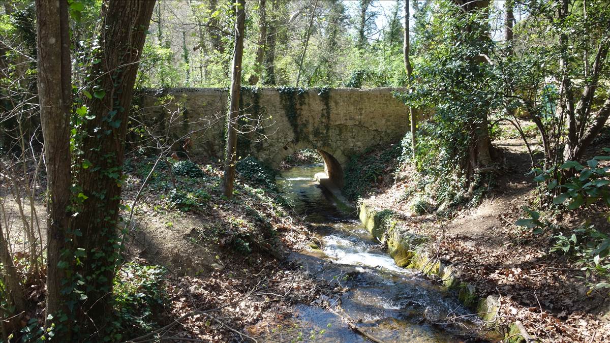 [Jean-Marie et Gérard] Saint Pons le Jeudi 25 Mars 2021 07210