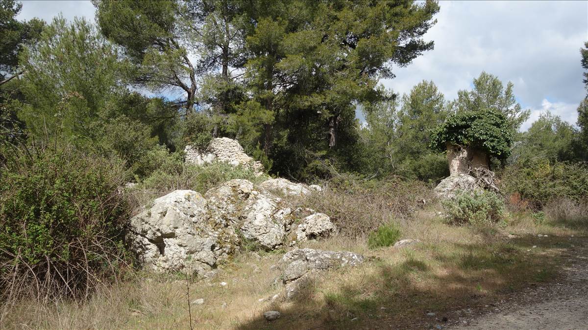 [Jean-Marie et Gérard] Les Pins le Jeudi 15 avril 2021 2323