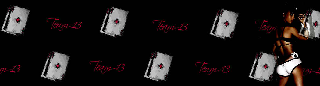 LA TEAM 13