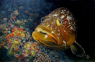 سمكة القربة (لوقص) Epinep13